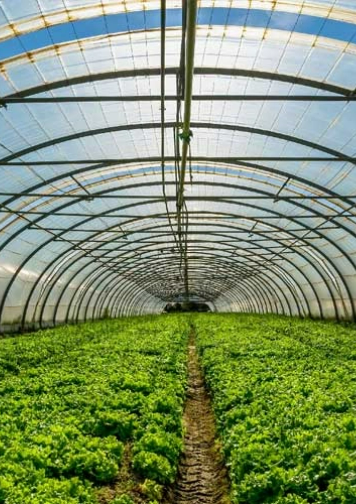 Indoor farming with Internet of things